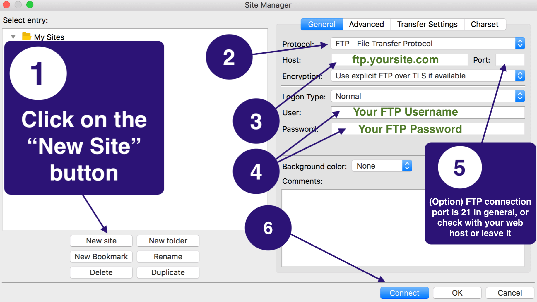 Connecting to WordPress using FTP