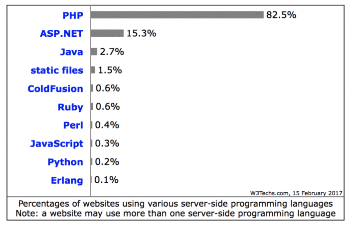 Usage of server-side programming languages