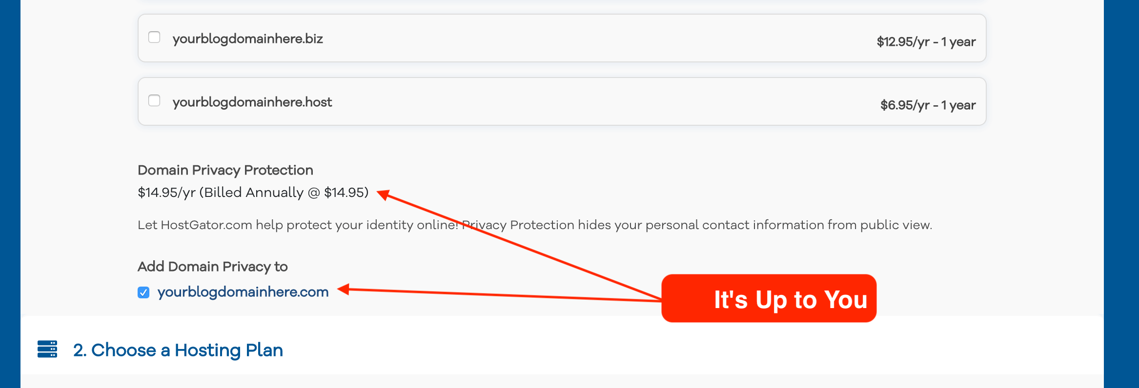 Domain privacy protection for your blog
