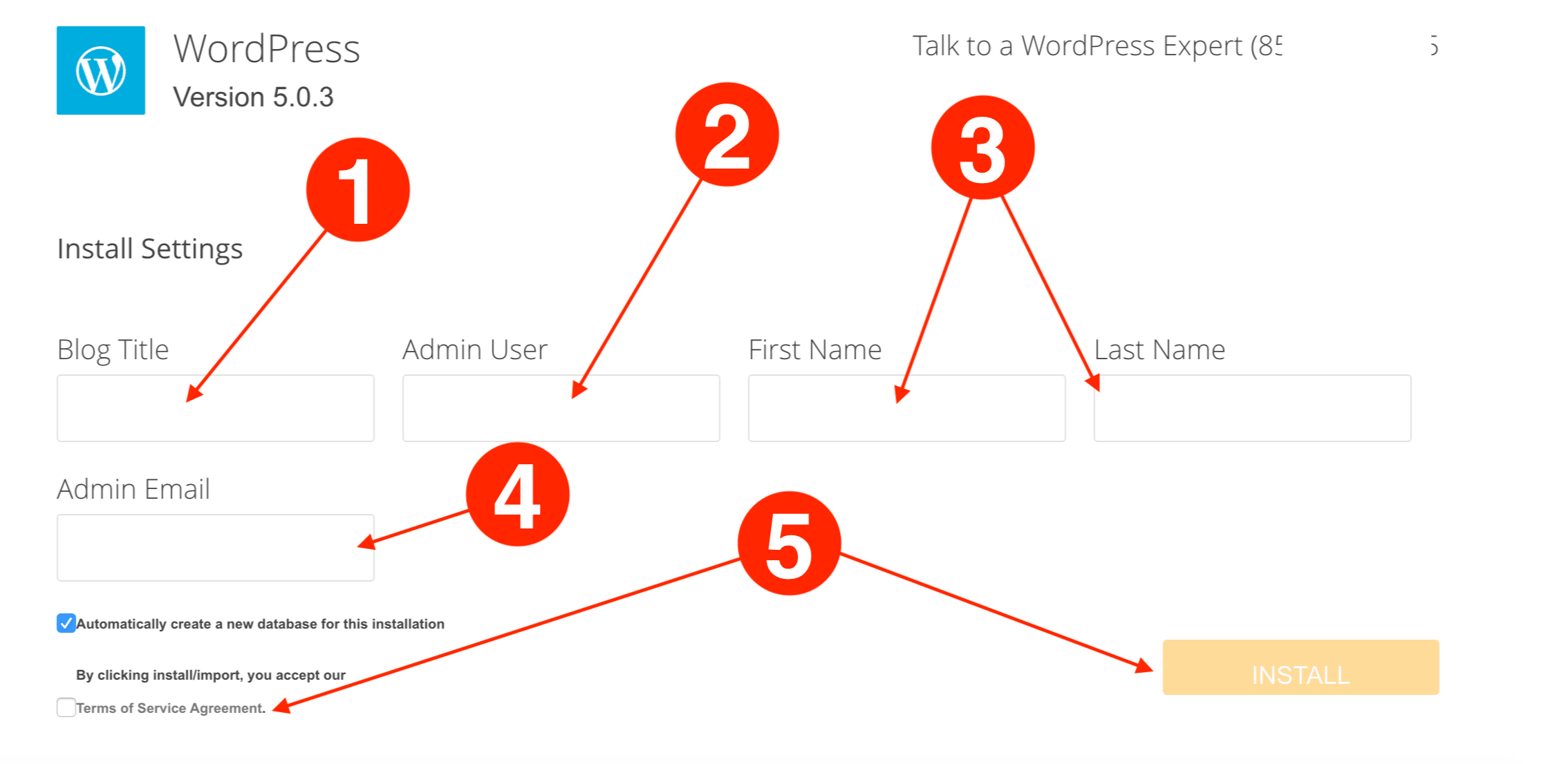 WordPress installation and setup details